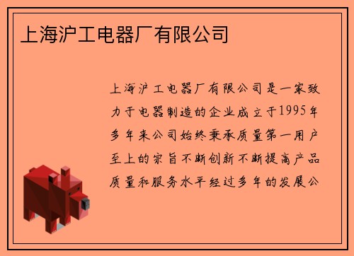 上海沪工电器厂有限公司
